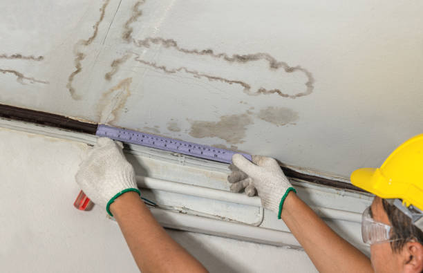 24/7 Emergency Structural Drying experts in Lucedale, MS